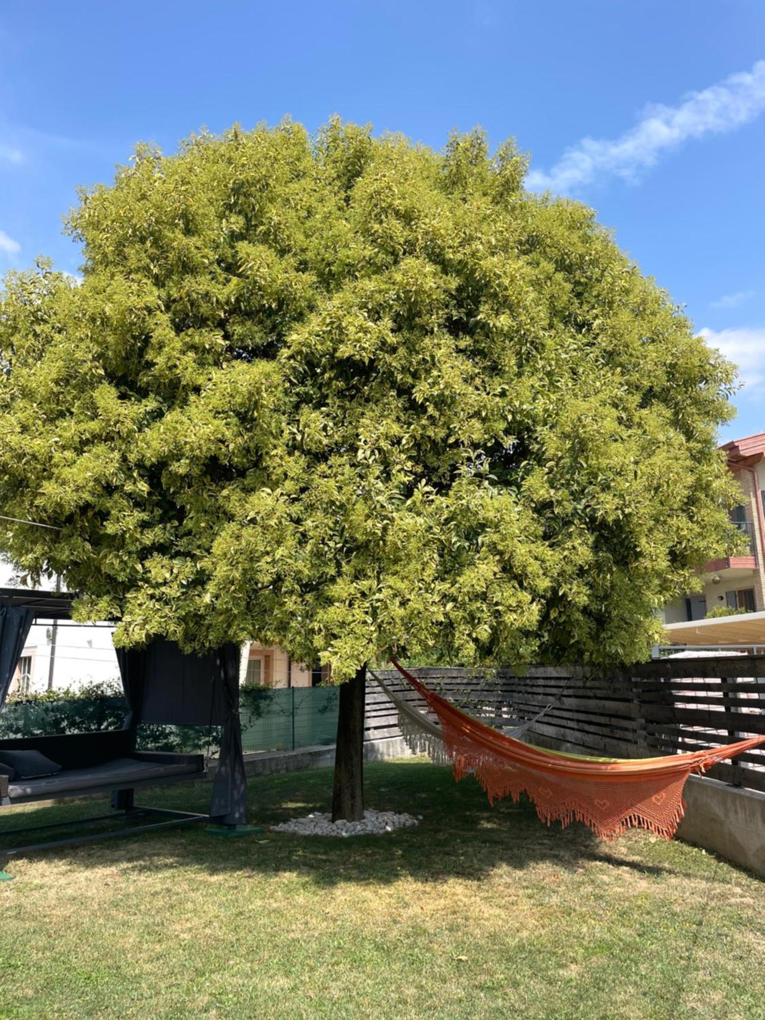 Casa Degli Artisti Caprino Veronese Exterior foto
